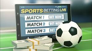 Everything You Need to Know About kana betting Everything You Need to Know About kana betting