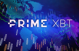 Insightful Analysis on PrimeXBT Cardano Price Prediction